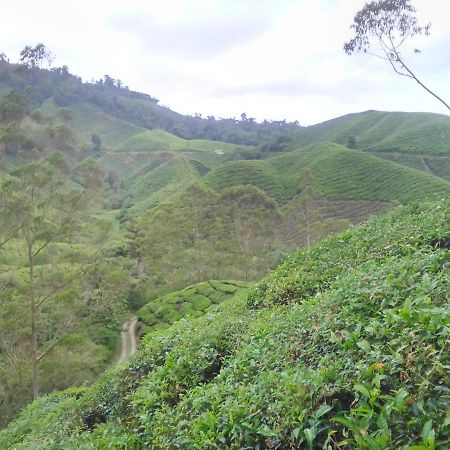 Netasha Holiday Inn And Apartment Cameron Highlands Exterior foto