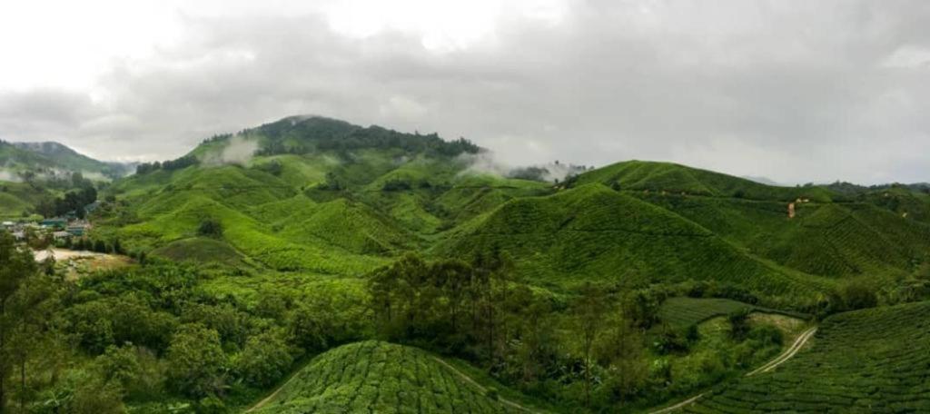 Netasha Holiday Inn And Apartment Cameron Highlands Exterior foto