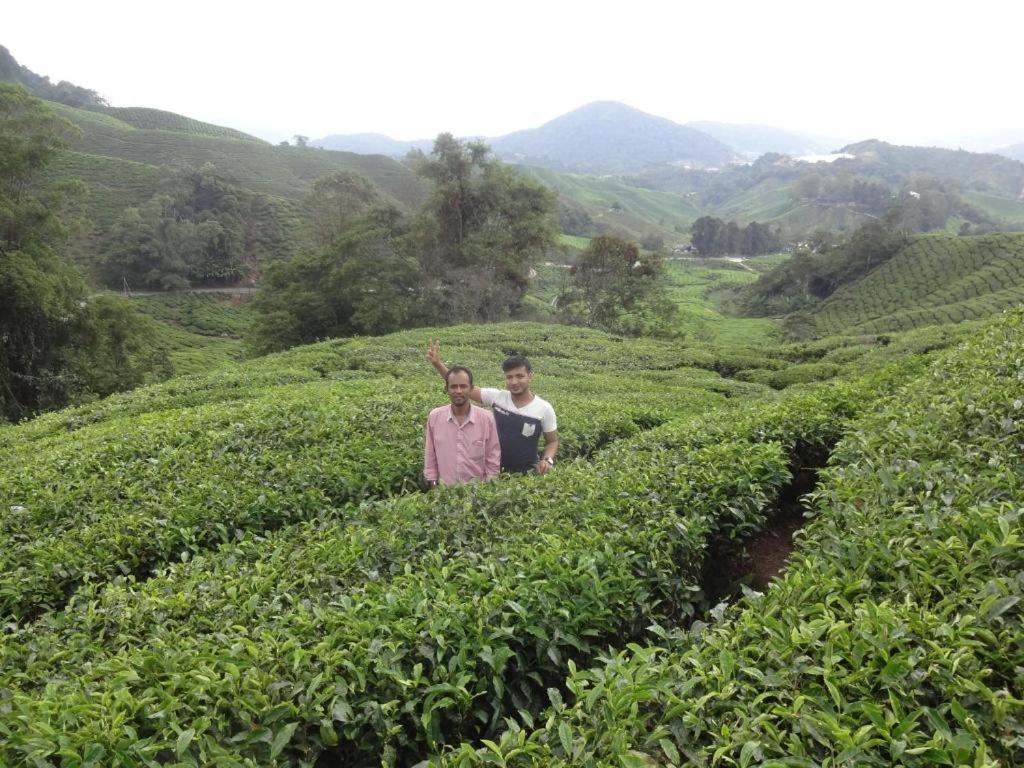 Netasha Holiday Inn And Apartment Cameron Highlands Exterior foto