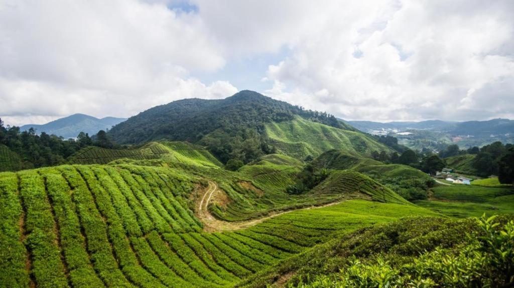 Netasha Holiday Inn And Apartment Cameron Highlands Exterior foto